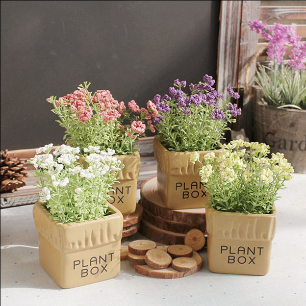 Chậu hoa Plant Box để bàn